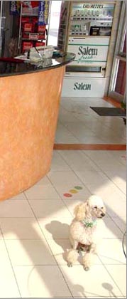 江藤石油 2-3